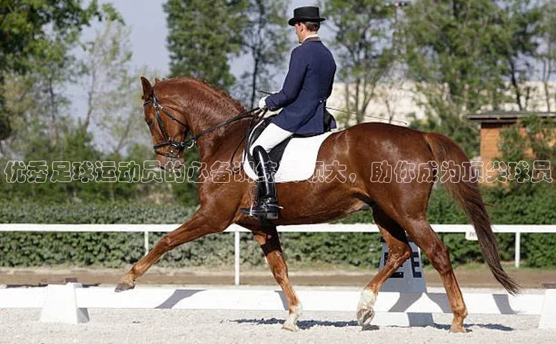 恒行6注册官网入口普信公司优秀足球运动员的必备训练要领大，助你成为顶尖球员