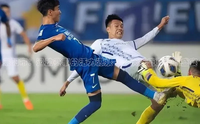 恒行官网登录入口顺丰耒阳市：运动赛事的活力源泉——庆祝盛夏体育盛宴