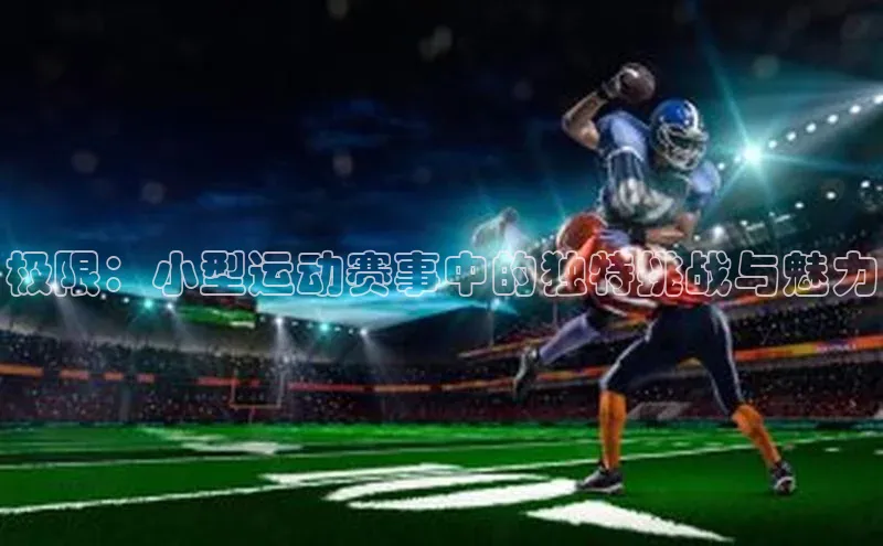 恒行官网首页登录入口汉得信息极限：小型运动赛事中的独特挑战与魅力