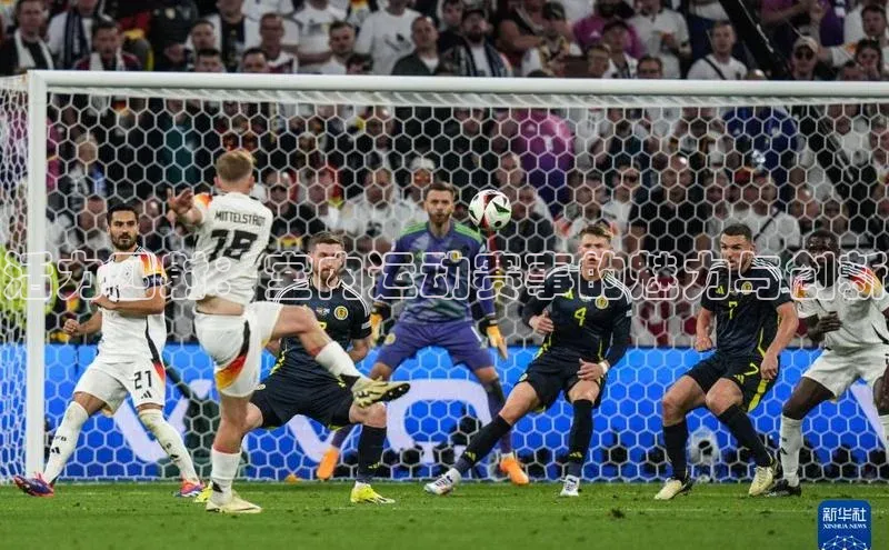 活力四射：室内运动赛事的魅力与创新