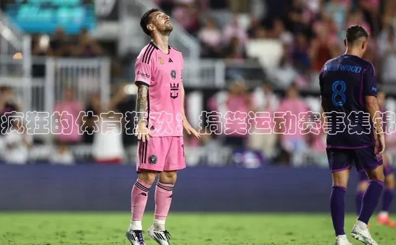 疯狂的体育狂欢：搞笑运动赛事集锦