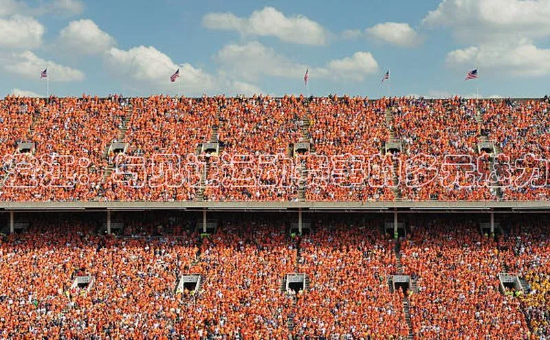 澄江：与见证运动赛事的多元魅力