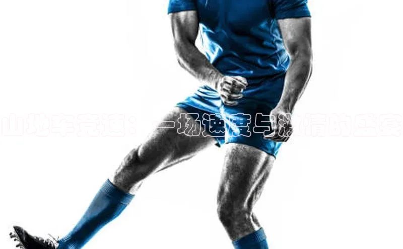 山地车竞速：一场速度与激情的盛宴