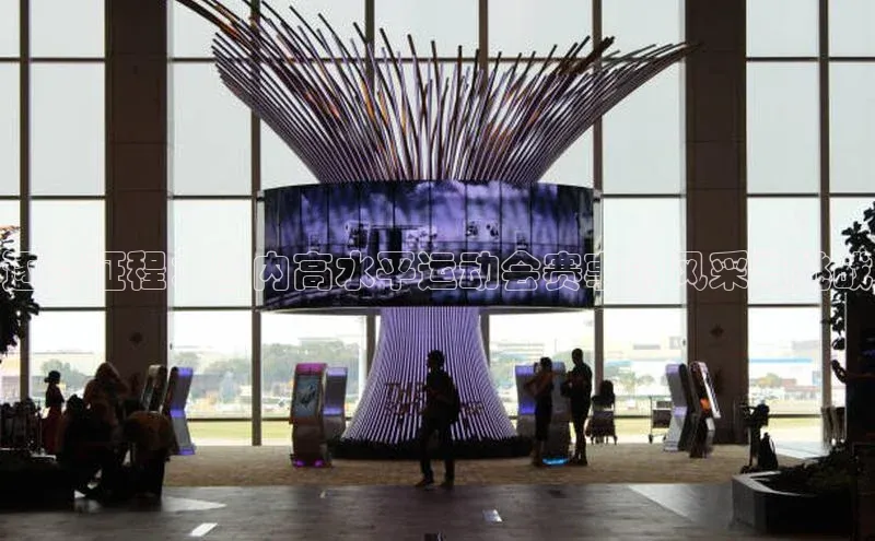 逐梦征程：国内高水平运动会赛事的风采与挑战