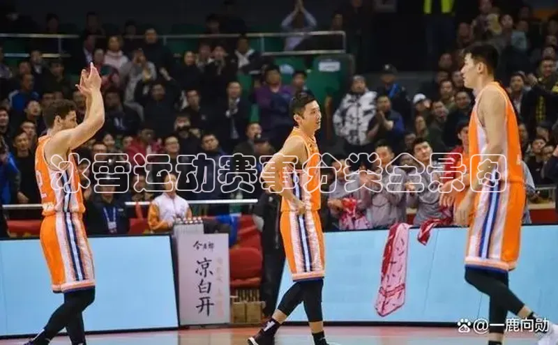 冰雪运动赛事分类全景图