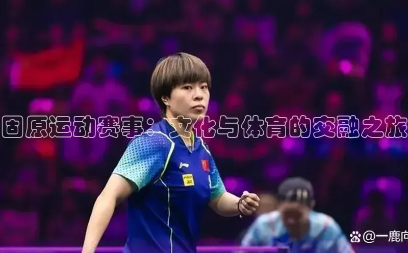 固原运动赛事：文化与体育的交融之旅