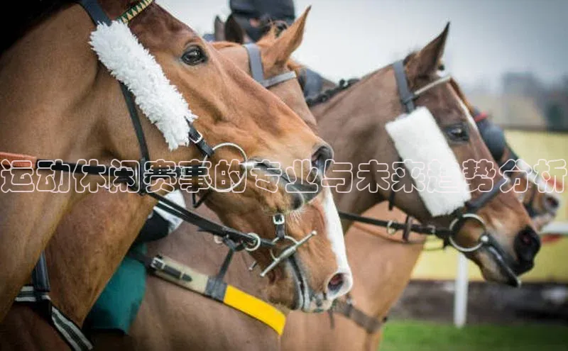 运动休闲赛事的专业与未来趋势分析