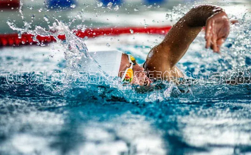 飞跃绿野：运动公园赛事的魅力与挑战