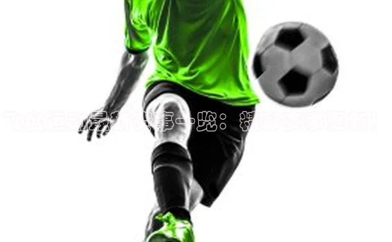 飞盘运动最新赛事一览：精彩赛事更新！