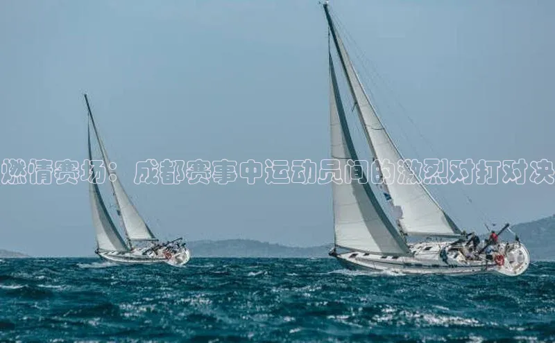 燃情赛场：成都赛事中运动员间的激烈对打对决