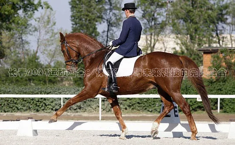 长春2024运动盛会：体育激情与未来科技的完美融合