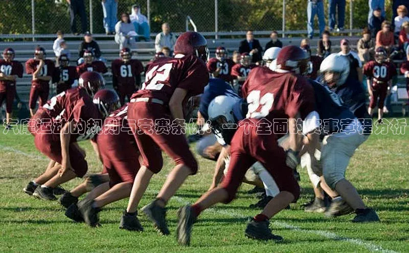 汽摩运动的规则与竞赛条例：一个全面的赛事章程分析